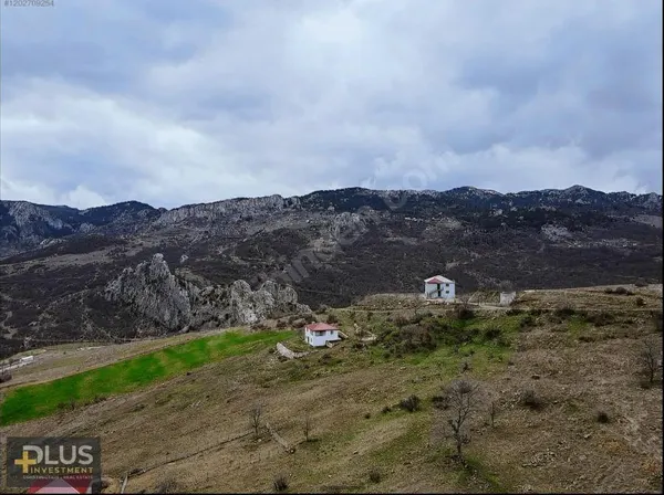 Foto von: Grundstück 1648 m² in Özavadi Yaylası, Alanya - Fluss- und Talblick, Özvadi Yaylası (8)